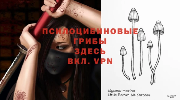 трава Аркадак