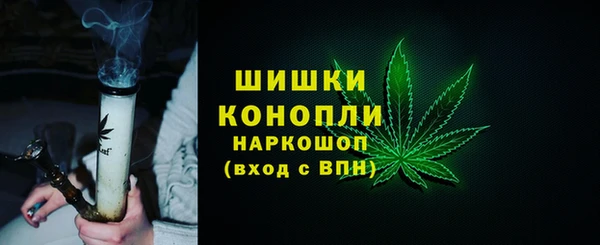 трава Аркадак