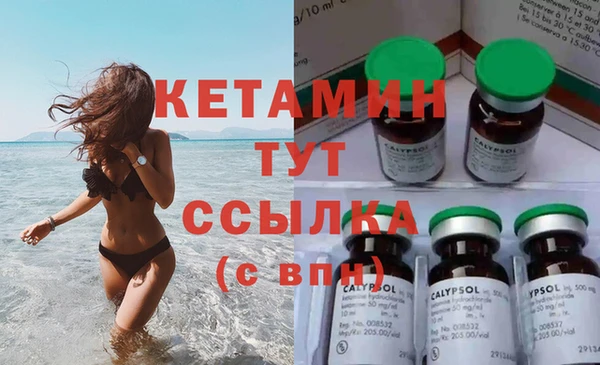 трава Аркадак