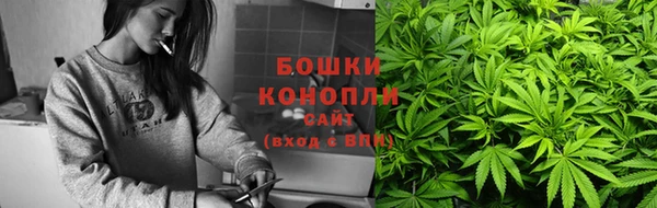 сатива Арсеньев