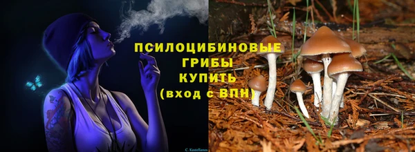 сатива Арсеньев