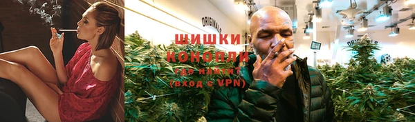 сатива Арсеньев
