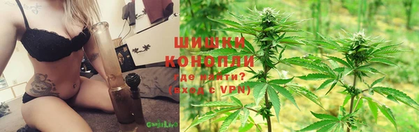 трава Аркадак