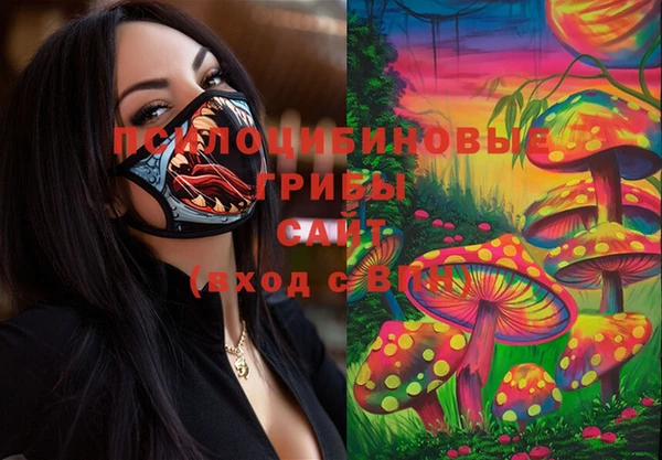 сатива Арсеньев
